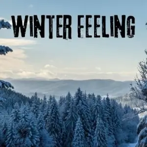 Winter Feeling Winter Feeling