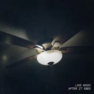 Like Roses - After It Ends